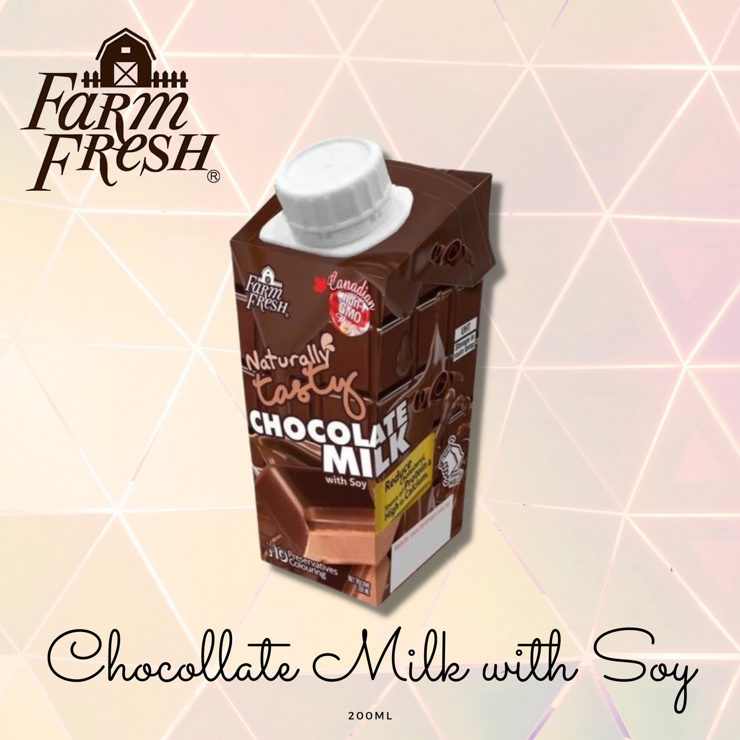 CHOCOLATE SOY MILK 200ml [PACK]