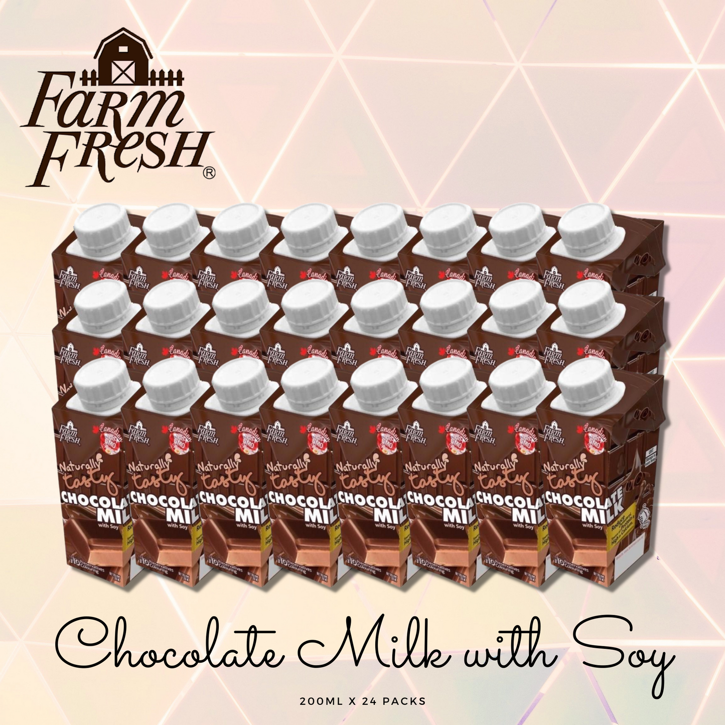 CHOCOLATE SOY MILK 200ml [CARTON]